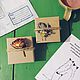 Сережки с тремя камешками. Серьги классические. Нараспашку. Интернет-магазин Ярмарка Мастеров.  Фото №2