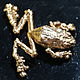 'Frog' Tree Frog Brooch. Brooches. LefshaKrasnjdar (LefshaKrasnodar). Online shopping on My Livemaster.  Фото №2