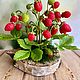 Заказать Земляника из холодного фарфора. FlowerKseni - Ксения Изотова. Ярмарка Мастеров. . Цветы Фото №3