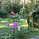 Зонт опора для роз, Вазоны садовые, Раменское,  Фото №1