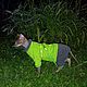 Cat Clothes Fleece Jumpsuit - 'Neon Green and Gray', Pet clothes, Biisk,  Фото №1