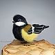 Birdie titmouse. Felted bird. Bird interior. Figurines. Game in felting. Online shopping on My Livemaster.  Фото №2