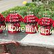 Букет из мыльных роз Страсть. Композиции. сезонный декор от Дмитриевой Марины. Ярмарка Мастеров.  Фото №5