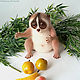 Лемур Лори – лори валяный из шерсти (Lemur Loris). Войлочная игрушка. Шерстяной Зоопарк Наталья Львова. Ярмарка Мастеров.  Фото №4