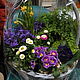 Большая корзина"Маргаритка" Весенние цветы в подарок, Композиции, Москва,  Фото №1