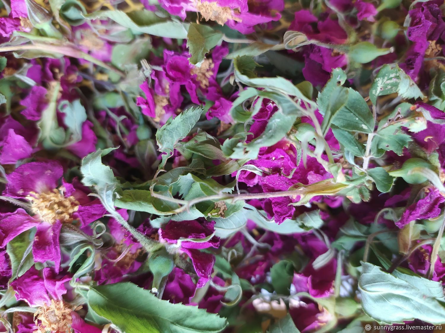 Цветы шиповника 10 гр в интернет-магазине на Ярмарке Мастеров | Травы ...