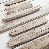 Дрифтвуд driftwood материалы для творчества (набор № 1)