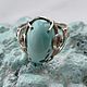 Ring : Turquoise charm . Turquoise natural , Rings, Ekaterinburg,  Фото №1