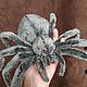 The spider is soft on the frame. Stuffed Toys. vegdolls. My Livemaster. Фото №4
