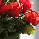 Цветы: Цикламен из полимерной глины, Комнатные растения, Краснодар,  Фото №1