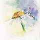  PRINT Watercolor Chamomile after the rain, Fine art photographs, Moscow,  Фото №1