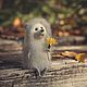 "Autumn hedgehog". Felted Toy. Anastasia Zharkova. Online shopping on My Livemaster.  Фото №2