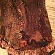 Заказать Жилет валяный " Бохо". Людмила (Felt-tale). Ярмарка Мастеров. . Жилеты Фото №3