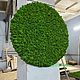 Заказать Круг из мха. Green.Box. Ярмарка Мастеров. . Фитокартины Фото №3