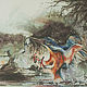Successful fishing, Kingfisher and fish, watercolor, Pictures, Novosibirsk,  Фото №1