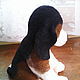 Beagle puppy SHAH. Stuffed Toys. ZOYA KHOLINA. My Livemaster. Фото №6
