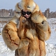 The coat of the Siberian red Fox . Hooded. Solid, Fur Coats, Omsk,  Фото №1