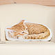 Рыжая кошка. Декоративная подушка в виде спящей кошки, Подушки, Москва,  Фото №1