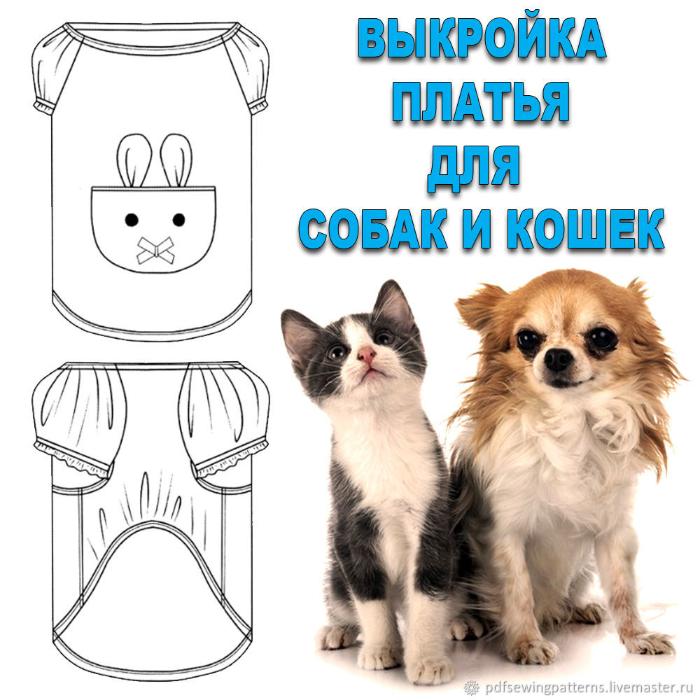 Выкройки одежды для кошек - наряжай любимую кошечку как королеву по своему вкусу 20 фотографий