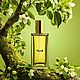 Заказать Tilia / unisex/ Духи в стиле Marc-Antoine Barrois. Ароматический Бутик (my-perfumer). Ярмарка Мастеров. . Духи Фото №3