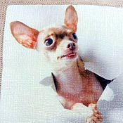 Для дома и интерьера handmade. Livemaster - original item Pillow with Chihuahua Hua dog. Gift to buy. Handmade.