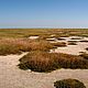 Укрепляющий крем для тела "Приморские солончаки". Крем для тела. Мария Effetto Naturale. Интернет-магазин Ярмарка Мастеров.  Фото №2