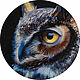 Painting 'Owl' oil on canvas D40 cm, Pictures, Moscow,  Фото №1
