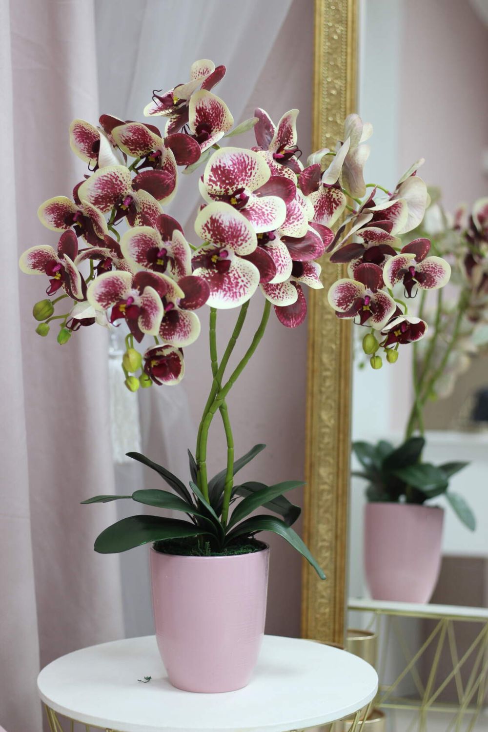 Купить орхидею в ставрополе. Латексная Орхидея Живая.