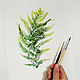 Fern, Botanical watercolour. Pictures. Belasla. My Livemaster. Фото №6