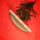 Copy of Copy of Copy of Copy of Copy of Copy of Copy of Comb juniper, Zimbra. Combs. Efremtsev. Online shopping on My Livemaster.  Фото №2