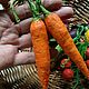 "Дачные радости" - елочные игрушки из ваты. Интерьерная кукла. ЕЛЕНА ШВЕДОВА РОДОМ ИЗ ДЕТСТВА. Ярмарка Мастеров.  Фото №4