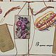 Большой кулинарный набор. Книги для рецептов. Блокноты Эллы Андерсон. Ярмарка Мастеров.  Фото №14