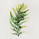 Fern, Botanical watercolour, Pictures, Moscow,  Фото №1