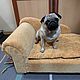 Sofa for a dog / cat to buy. Sofa for dogs order, Lodge, Ekaterinburg,  Фото №1