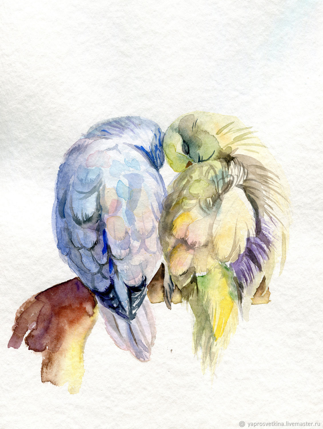 Рисунки красивых попугаев влюблённых