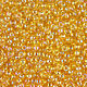 10 gr 11/0 Beads Miyuki 251 Round Light Topaz Rainbow prozr Beads Miyuki, Beads, Chelyabinsk,  Фото №1