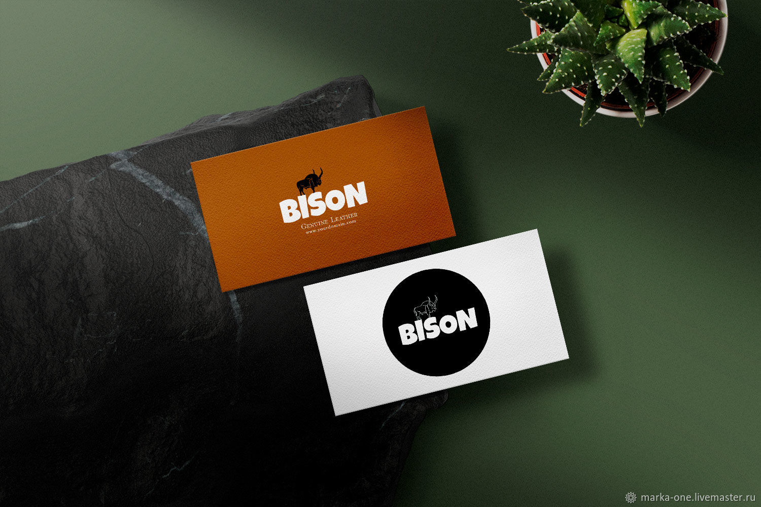 Заказать бизон. Бизон логотип. Бизон обувь логотип. Bizon365 логотип. Beezone логотип.