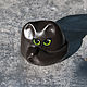 Order Black Cat. Revkova Tatiana (figurki-sculpt). Livemaster. . Miniature figurines Фото №3