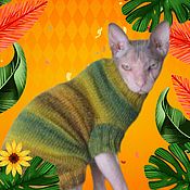 Un suéter para un gato(el gato)