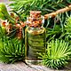 Spruce essential oil, Oil, Moscow,  Фото №1