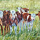 Watercolor painting Curious. Watercolor with calves, Pictures, Magnitogorsk,  Фото №1
