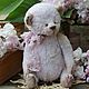 Заказать Мишка Тедди. Елена feya_teddy. Ярмарка Мастеров. . Мишки Тедди Фото №3