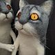 Котик. Войлочная игрушка. ЗИМА. Ярмарка Мастеров.  Фото №4