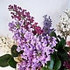 Сирень из полимерной глины. Букеты. Юлия Требунцова (flowershouse). Ярмарка Мастеров.  Фото №5