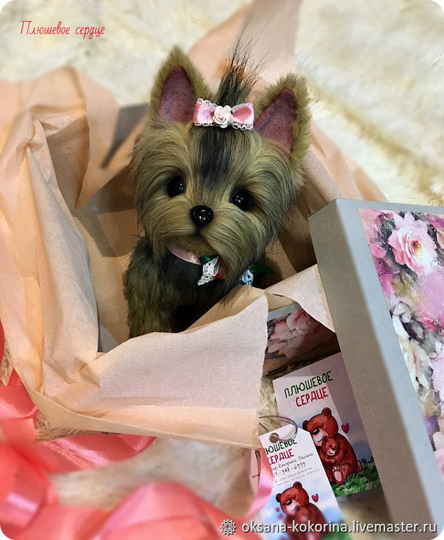yorkshire terrier teddy