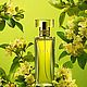 Tilia / unisex/ Духи в стиле Marc-Antoine Barrois. Духи. Ароматический Бутик (my-perfumer). Ярмарка Мастеров.  Фото №4