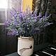 Лаванда. Композиции. Елена Куликова (flora-decor33). Ярмарка Мастеров.  Фото №4