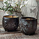 A copy of the product Planter: Funny Black Spine. Pots1. alisbelldoll (alisbell). Online shopping on My Livemaster.  Фото №2