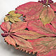 Carved dish of Wild grapes in autumn. Plates. Elena Zaychenko - Lenzay Ceramics. My Livemaster. Фото №6