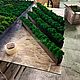 Кашпо из дерева со мхом. Кашпо. Green.Box. Интернет-магазин Ярмарка Мастеров.  Фото №2